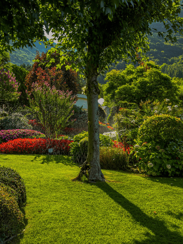 Home 21 Easy lawn and garden improvements made simple.
